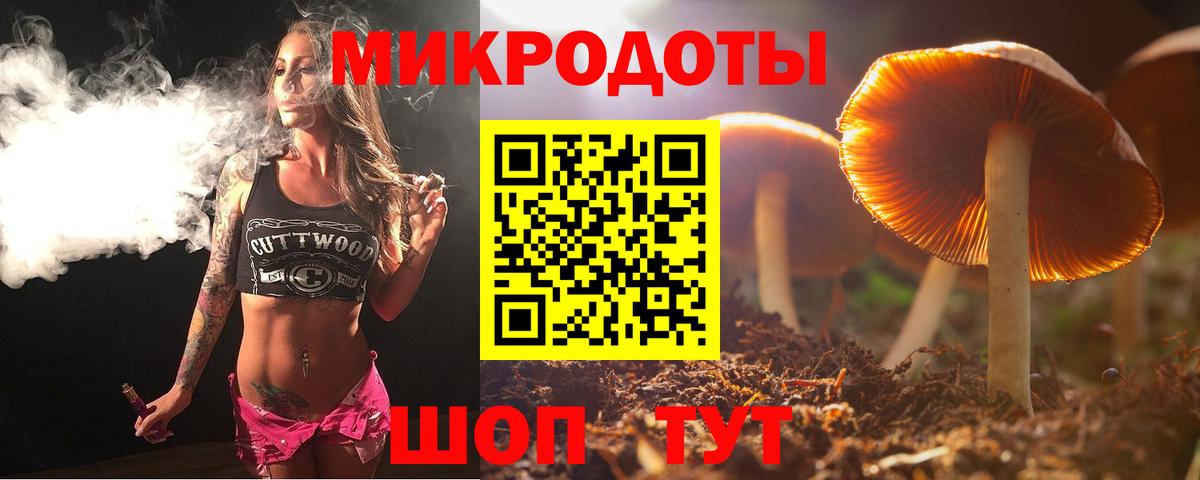 Галлюциногенные грибы Psilocybine cubensis  Вход с VPN  Гуково 